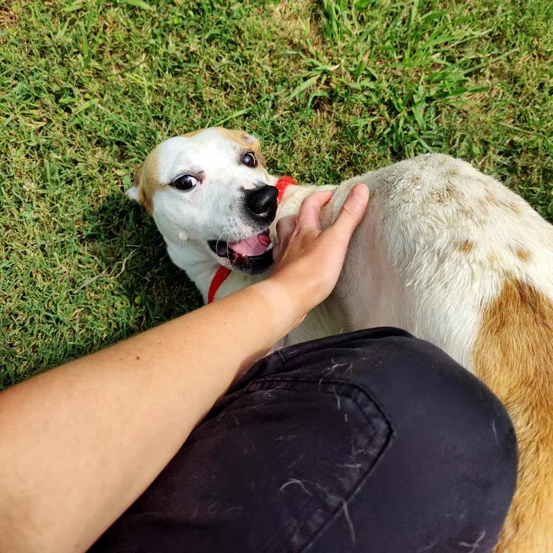 Buster thumbnail 3