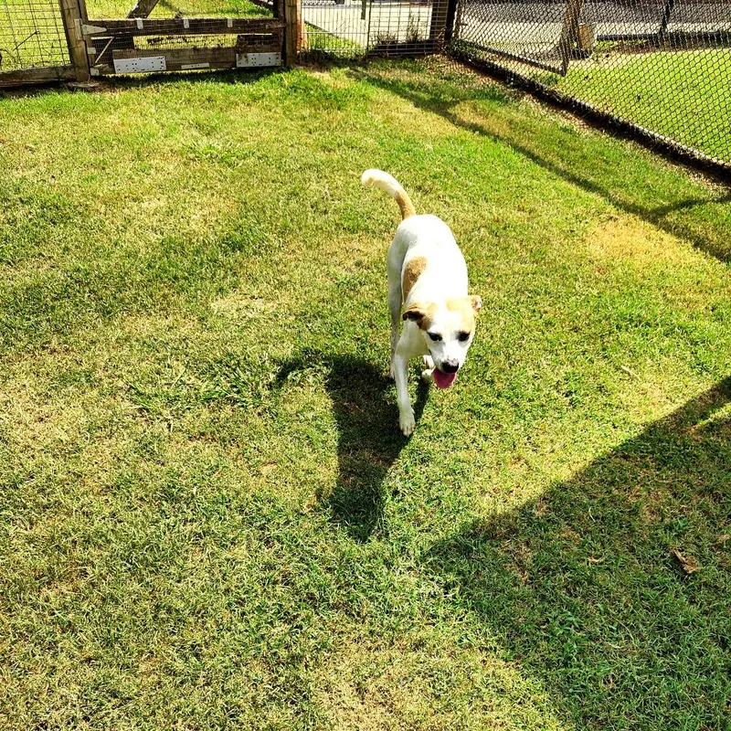 Buster thumbnail 5
