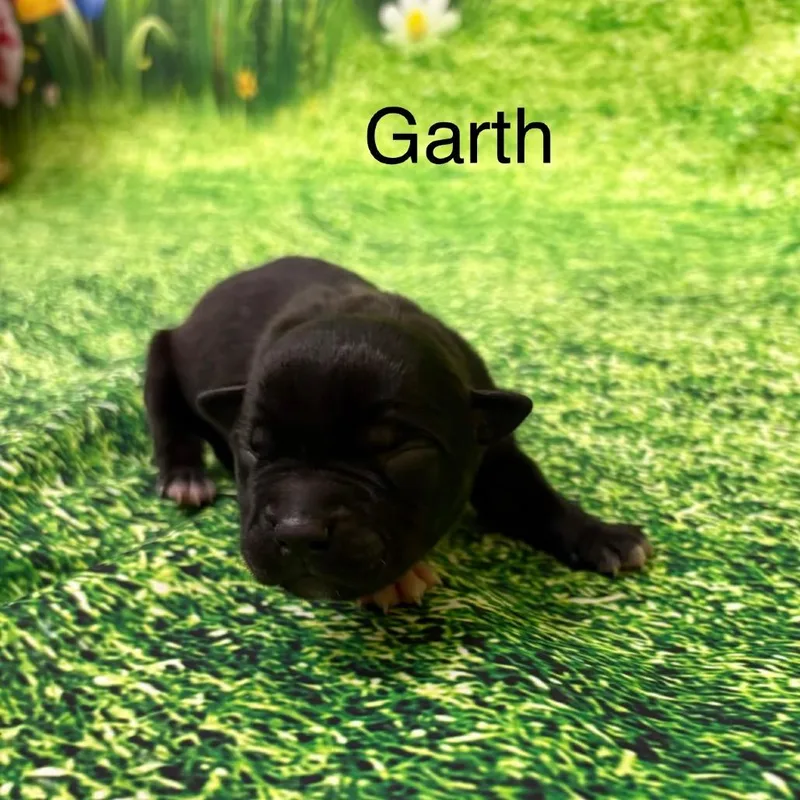 Garth