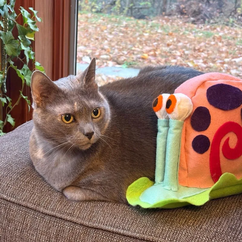 Muffin thumbnail 4