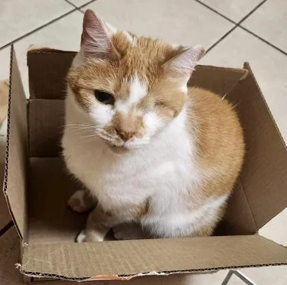 Mr. Dinkles  `a thumbnail 2