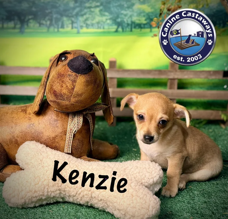 Kenzie thumbnail 2