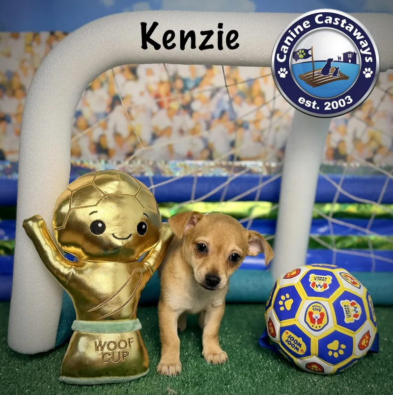 Kenzie thumbnail 3