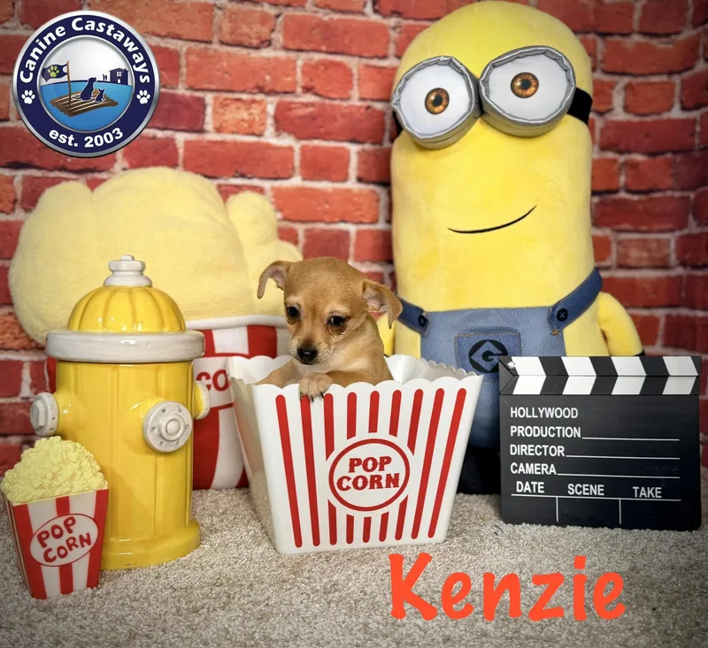 Kenzie thumbnail 4