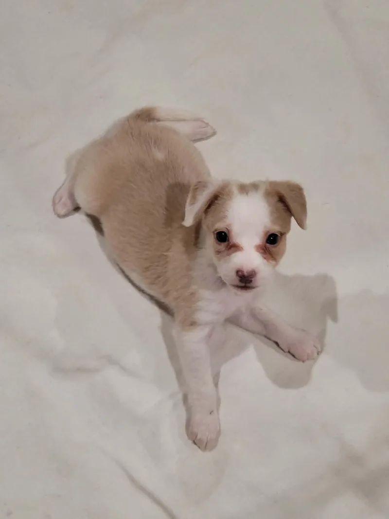 Maisy thumbnail 3