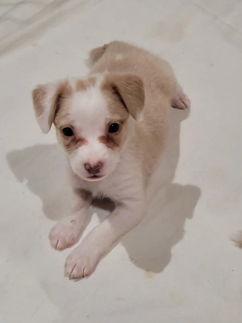 Maisy thumbnail 4
