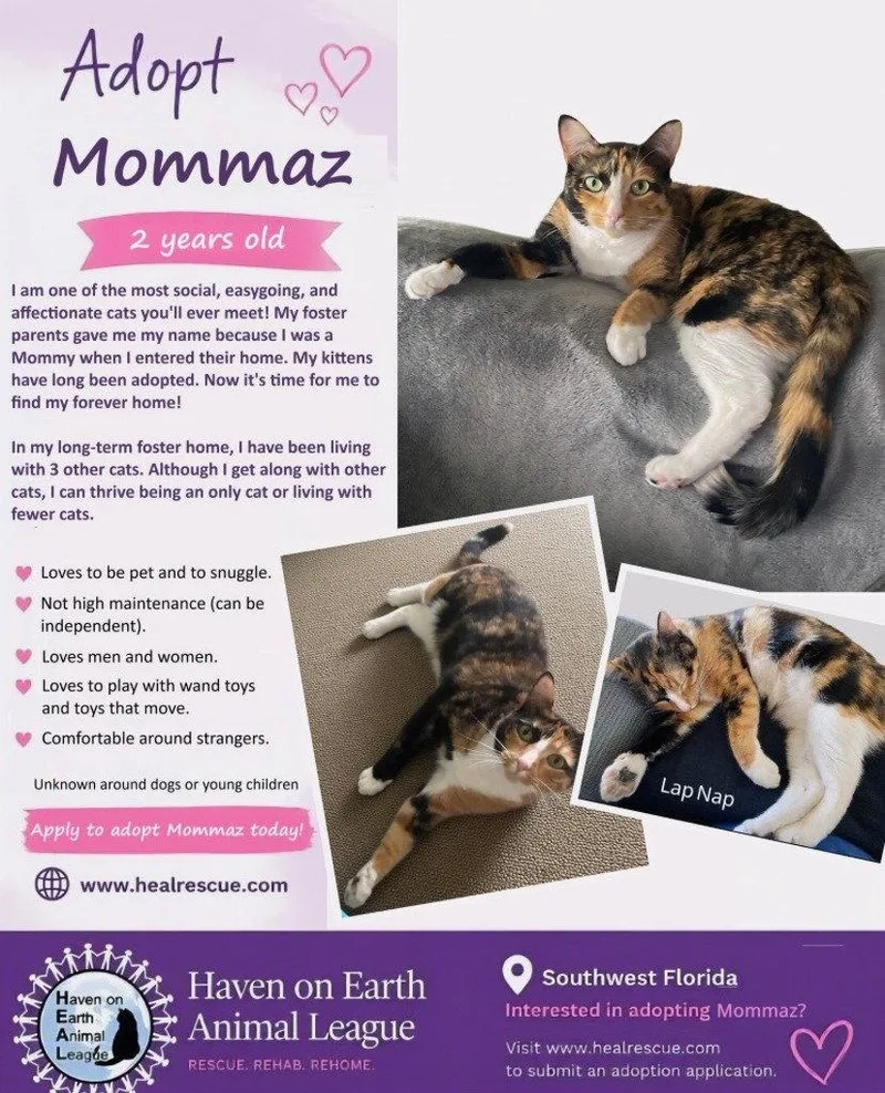 Mommaz