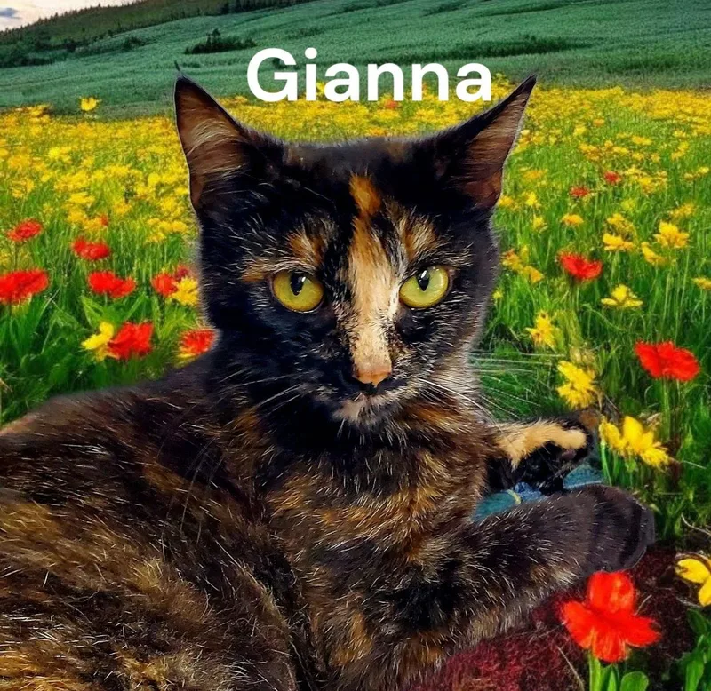 Gianna