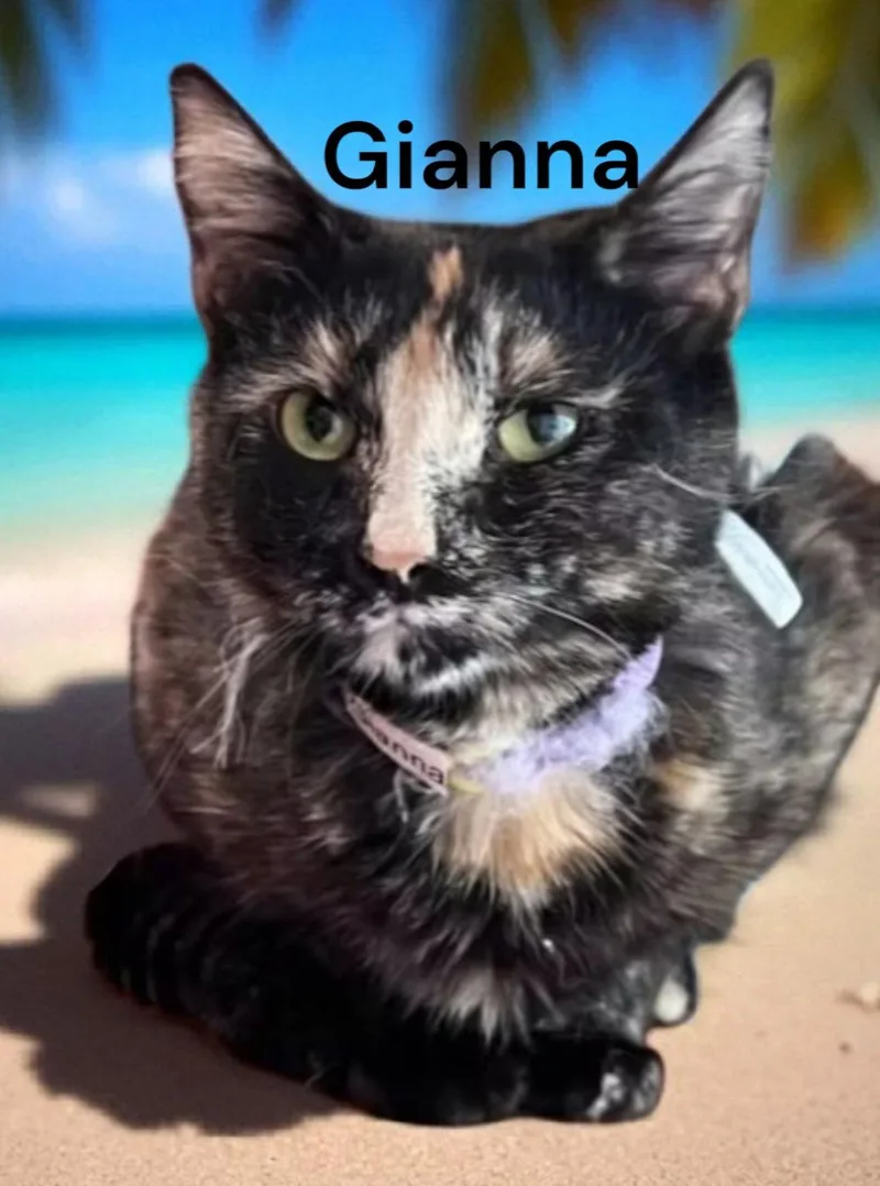 Gianna thumbnail 2