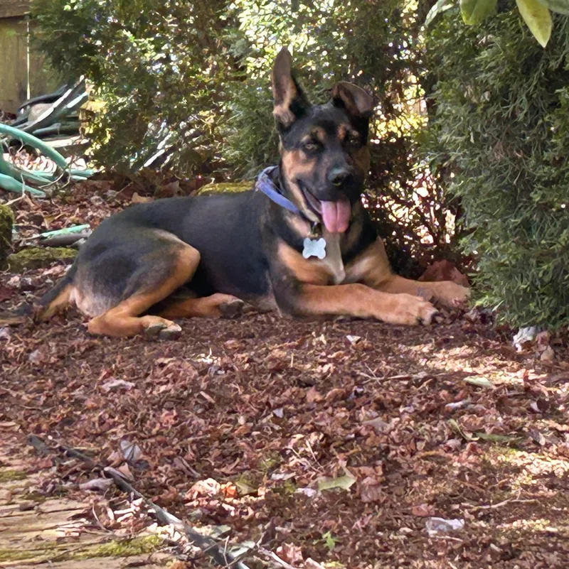 Baxter thumbnail 5