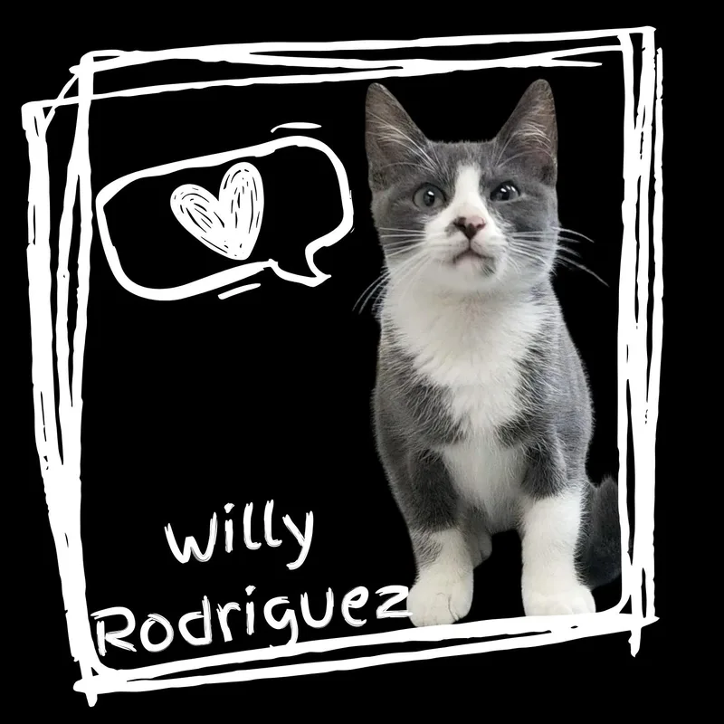 Willy Rodriguez