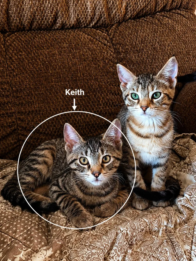 Keith thumbnail 5