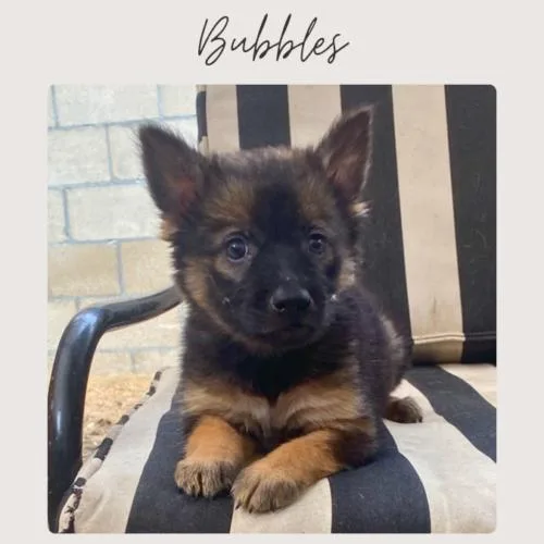 Bubbles thumbnail 2
