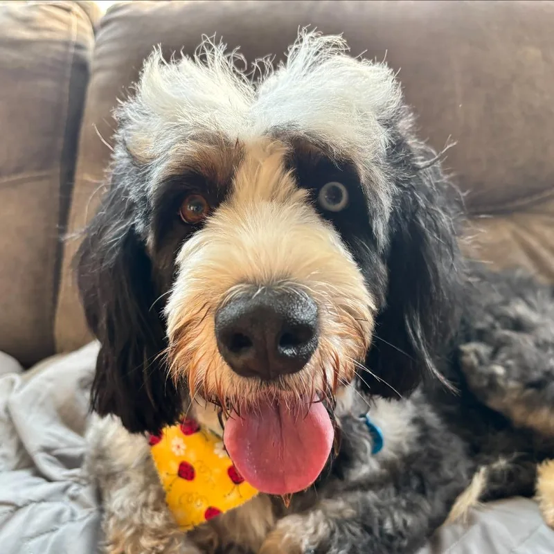 Maggie