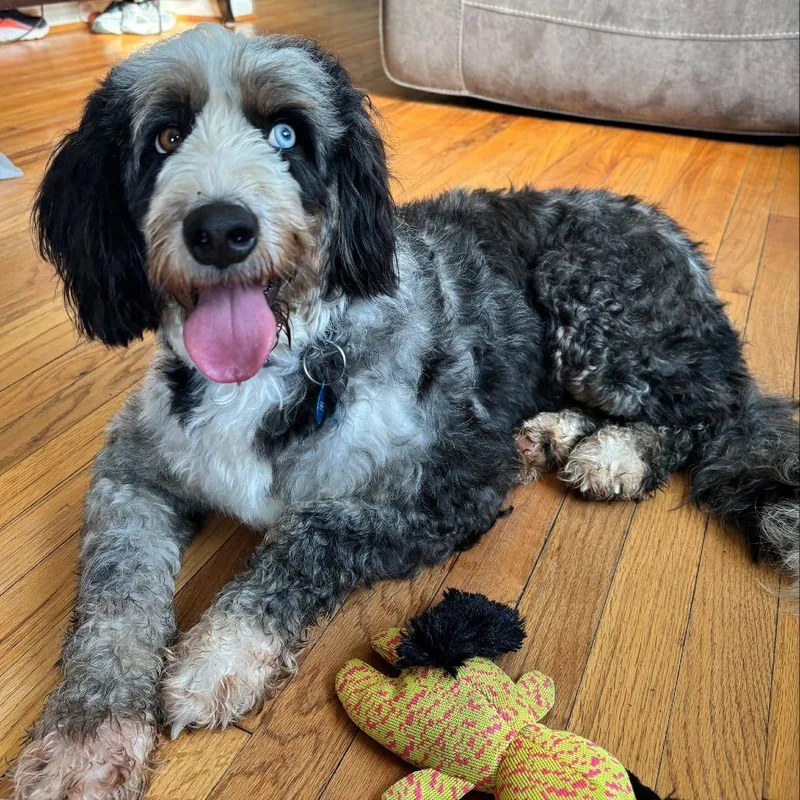 Maggie thumbnail 3