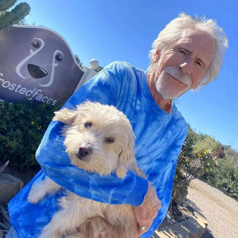 A senior small-sized male White / Cream Miniature Poodle dog named Harley for adoption in Ramona, CA