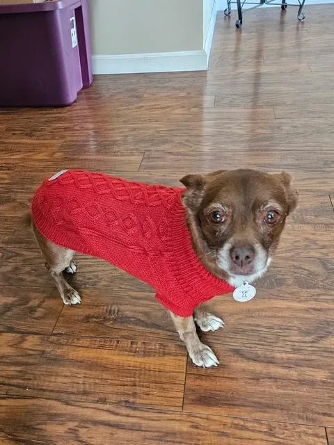 Vivienne thumbnail 2