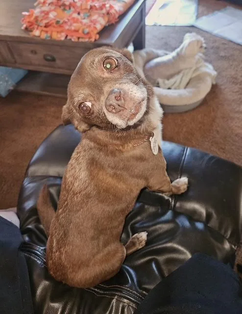 Vivienne thumbnail 3