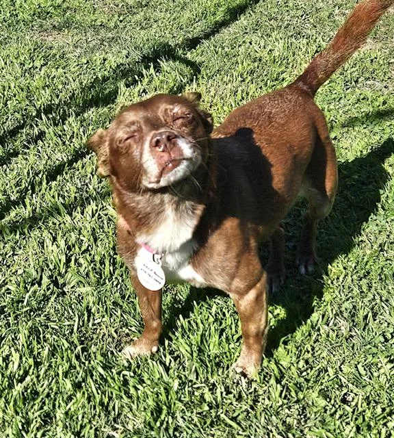 Vivienne thumbnail 4