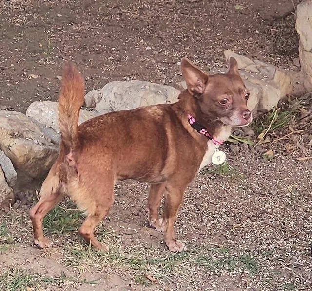 Vivienne thumbnail 5