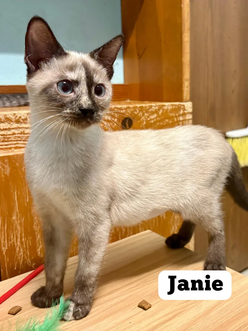 Janie