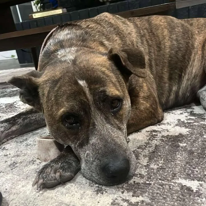 Piccadilly thumbnail 2