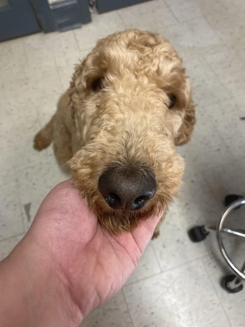 Max