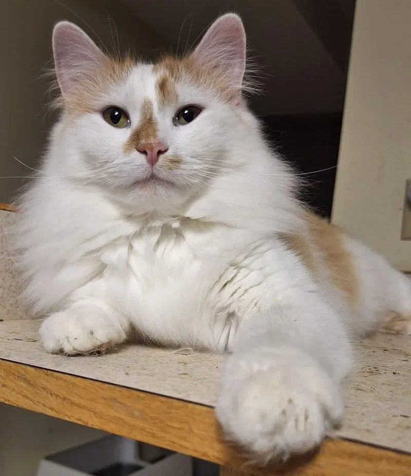 Oscar & Hugo thumbnail 2