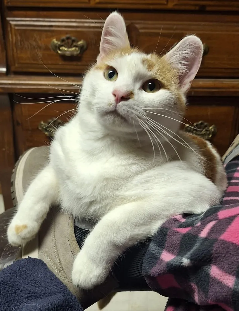 Oscar & Hugo thumbnail 4