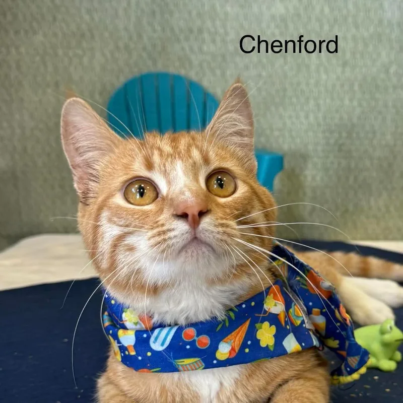 Chenford