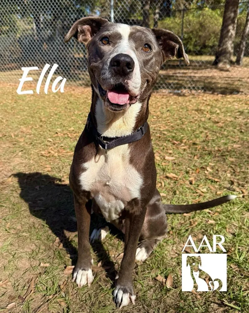 Ella