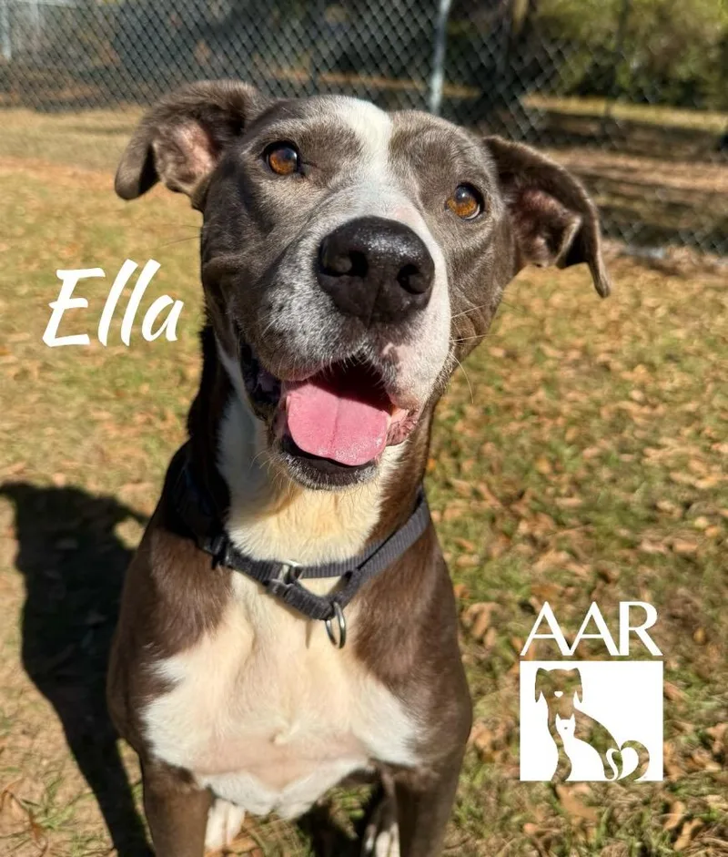Ella thumbnail 3