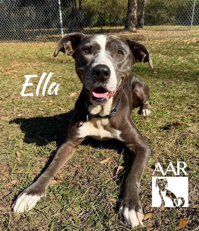 Ella thumbnail 5