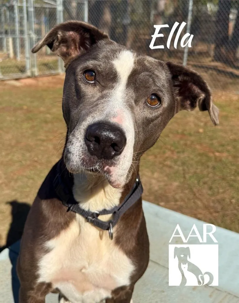 Ella thumbnail 6