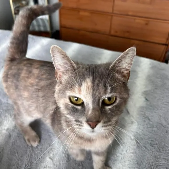 June Bug thumbnail 2