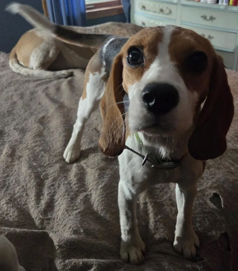 Margo thumbnail 2