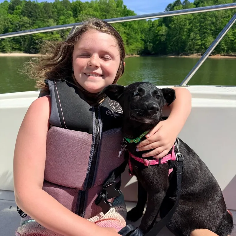 Silhouette thumbnail 3