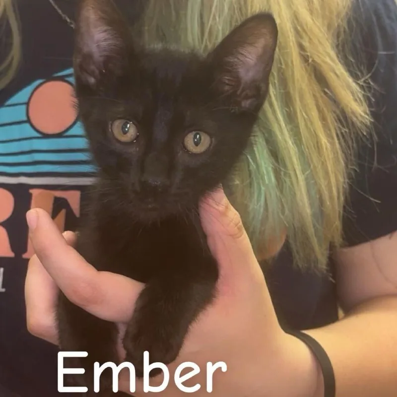 Ember Meet me at