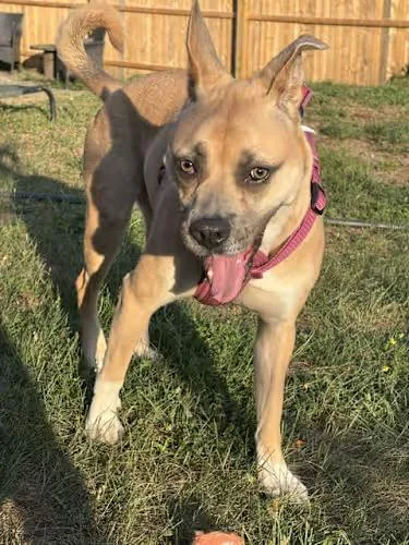 Libby Lou thumbnail 4