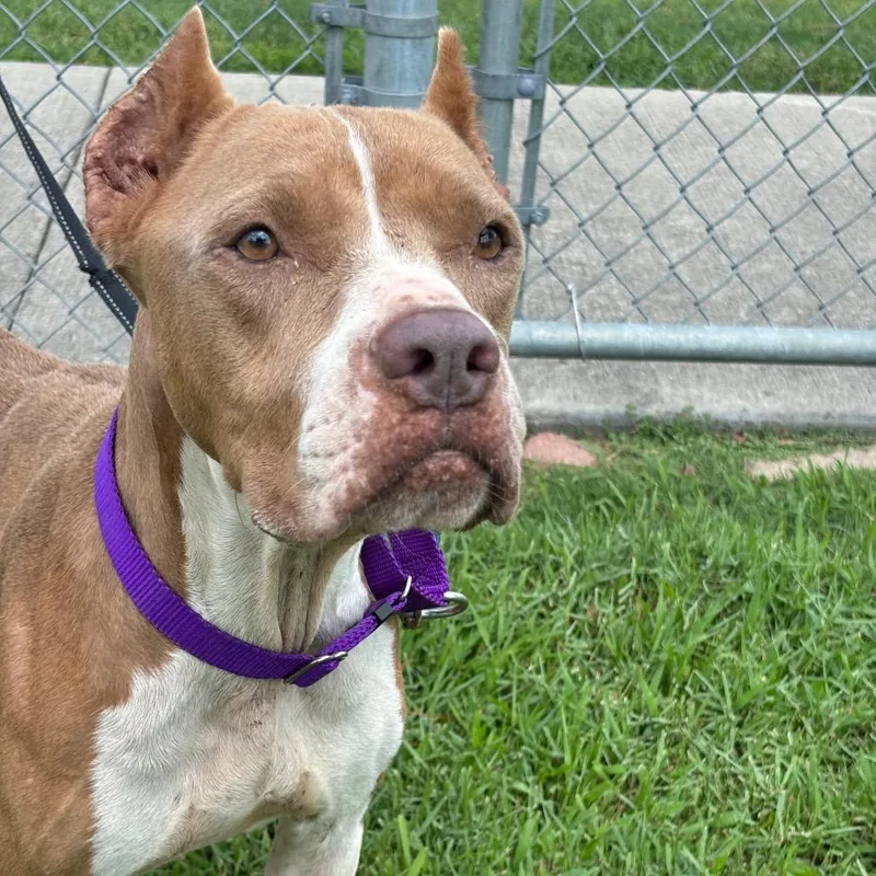 Mamacita thumbnail 2