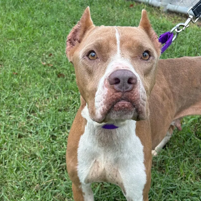 Mamacita thumbnail 4