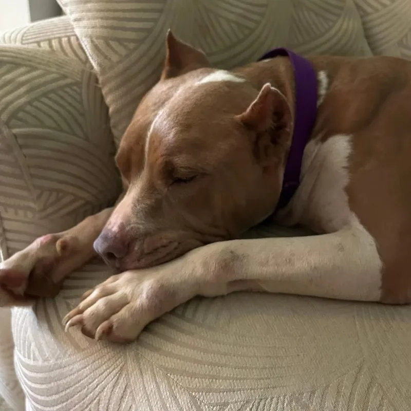 Mamacita thumbnail 5