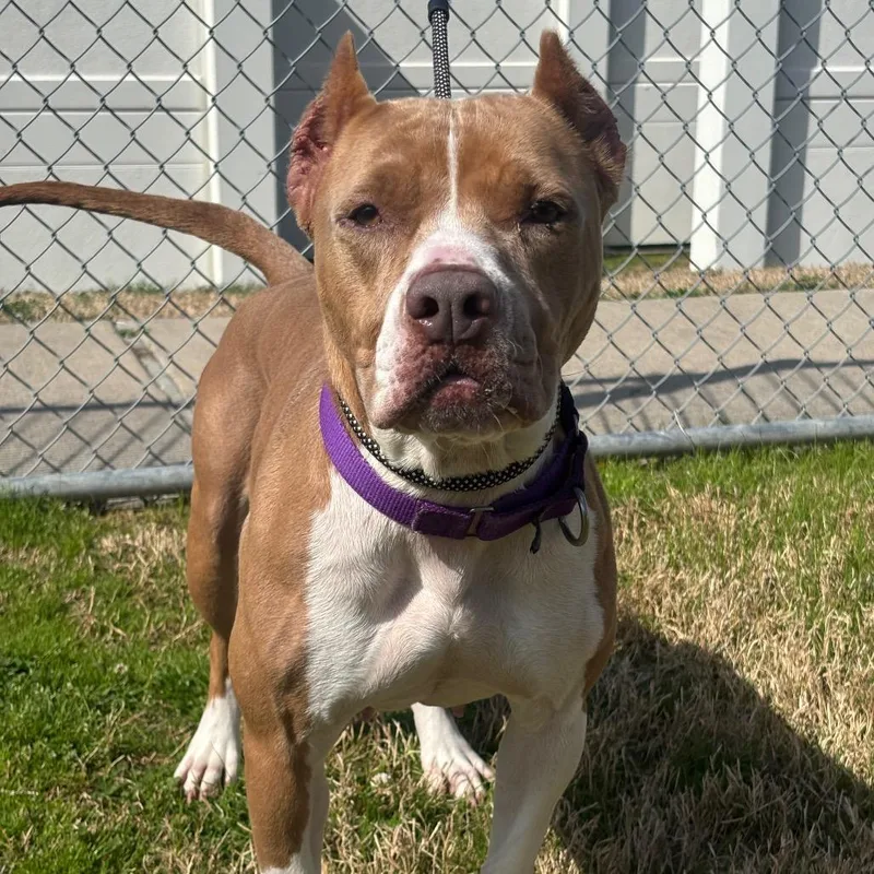 Mamacita thumbnail 6