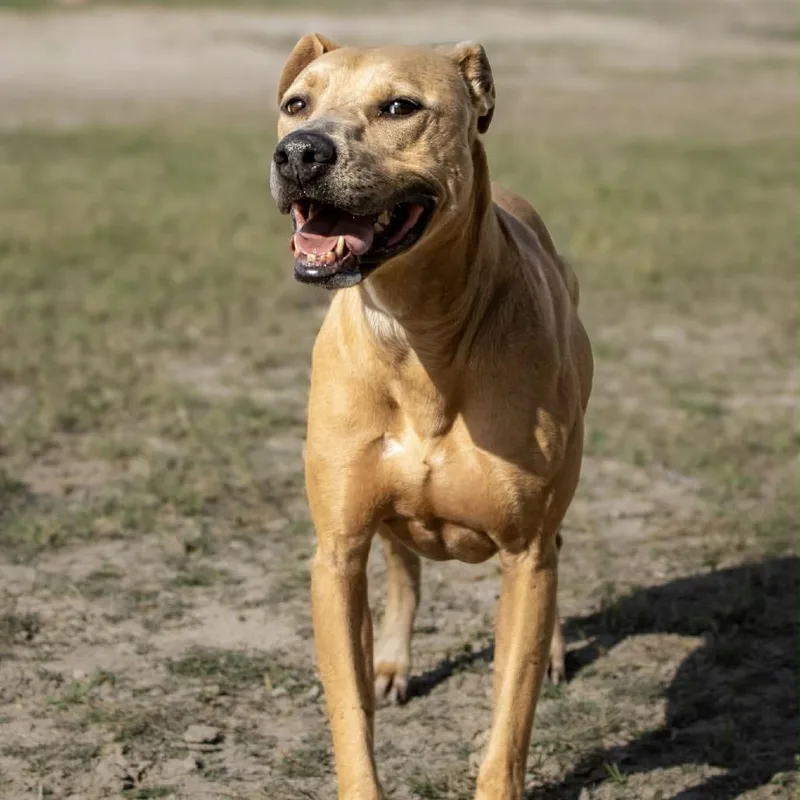 Winona Jum thumbnail 2