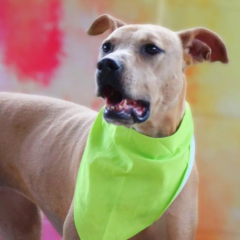 Winona Jum thumbnail 3