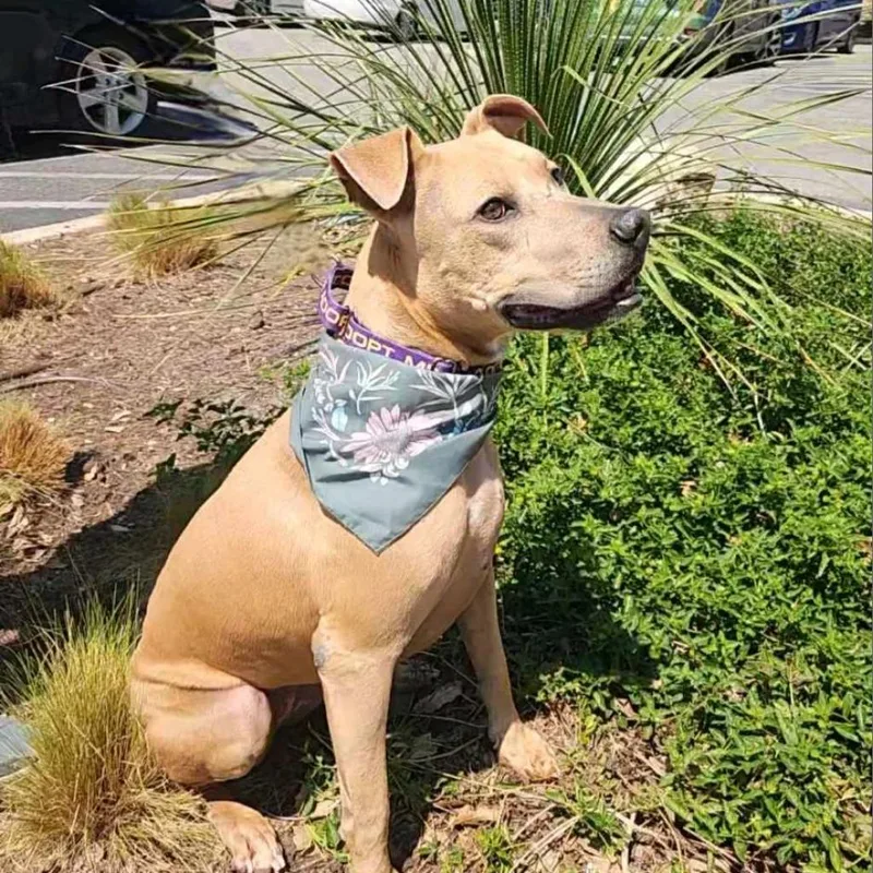 Winona Jum thumbnail 4