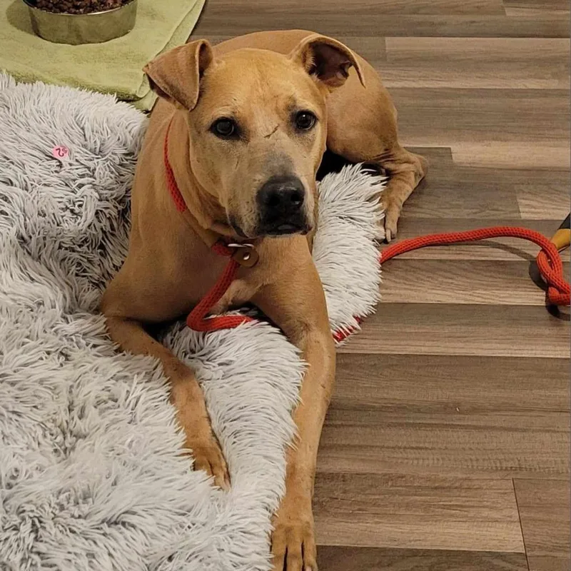 Winona Jum thumbnail 5