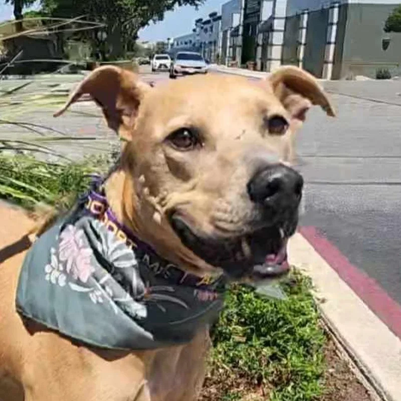 Winona Jum thumbnail 6