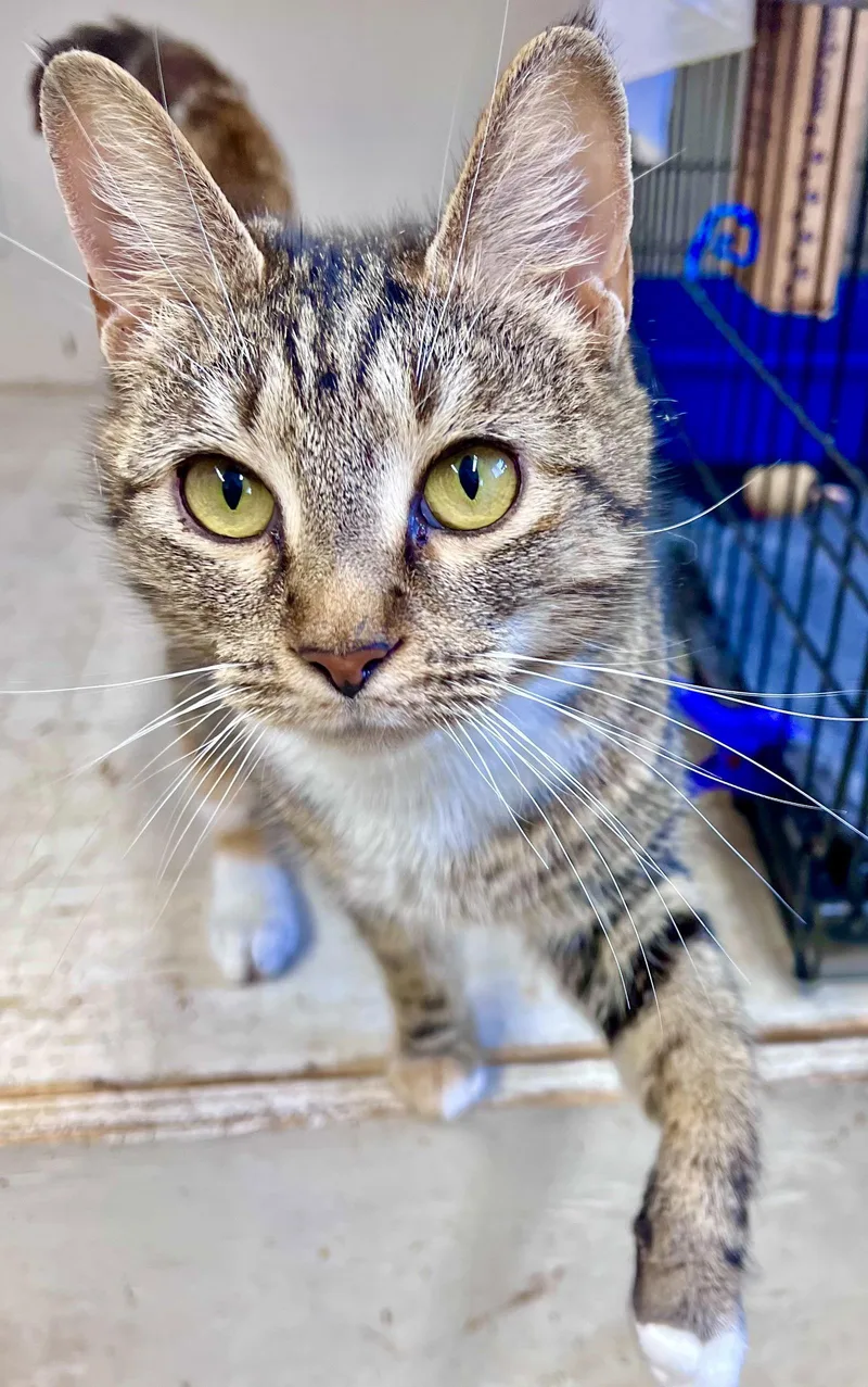 Florencejenkintown Ps