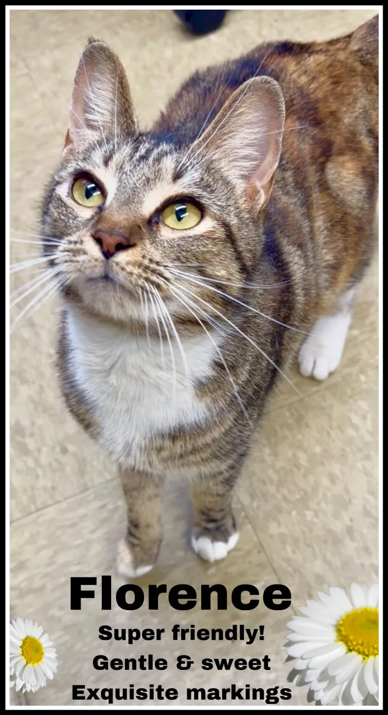 Florencejenkintown Ps thumbnail 2